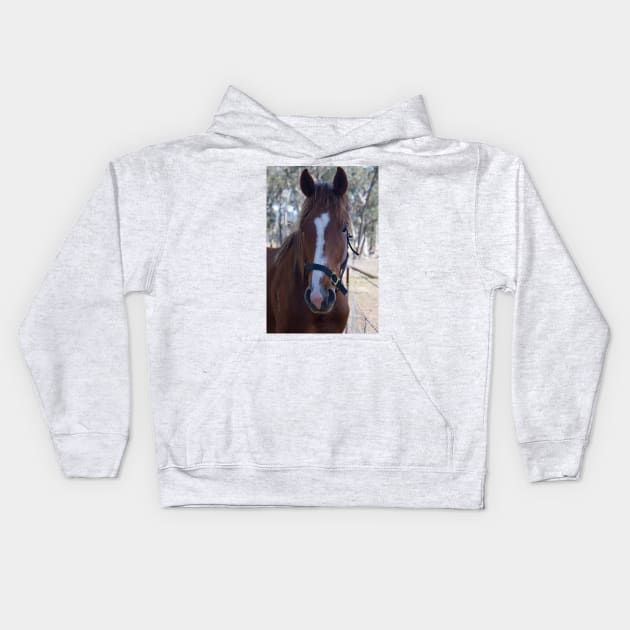 Wally - Thoroughbred Gelding Kids Hoodie by DeborahMcGrath